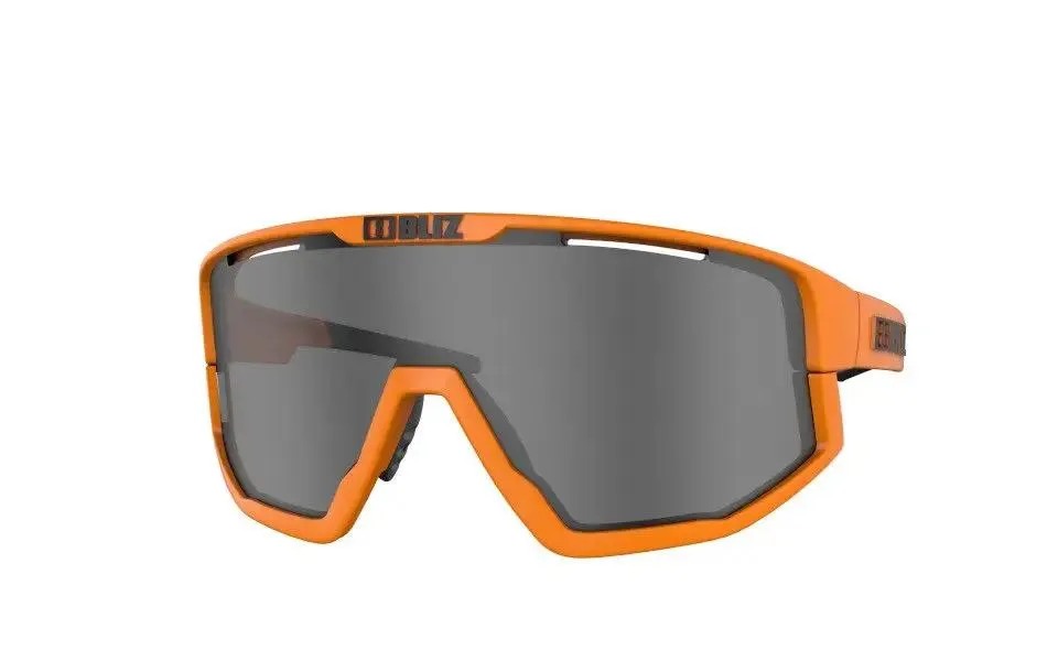 Bliz Vision Sunglasses