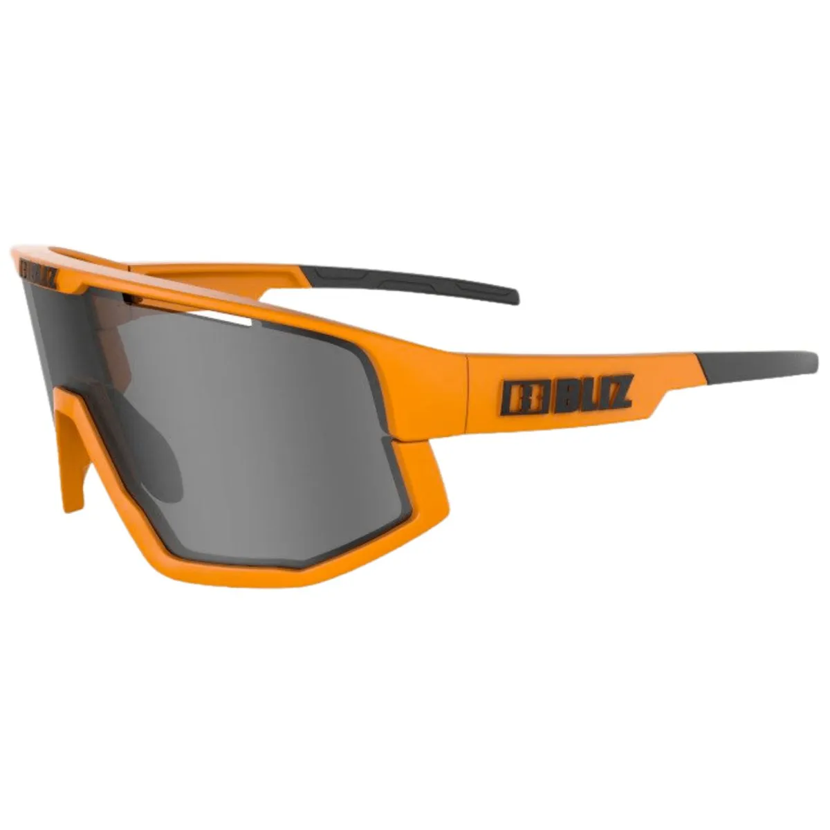 Bliz Vision Sunglasses